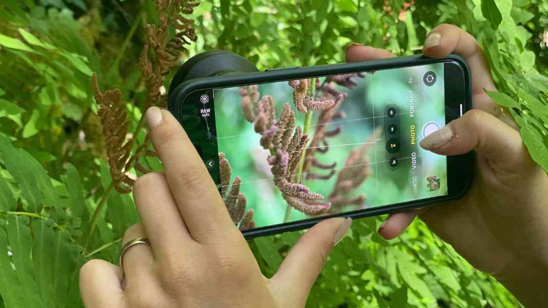 MACRO & LANDSCAPE PHOTOGRAPHY