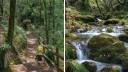 Untitled (Blog Banner) (1)